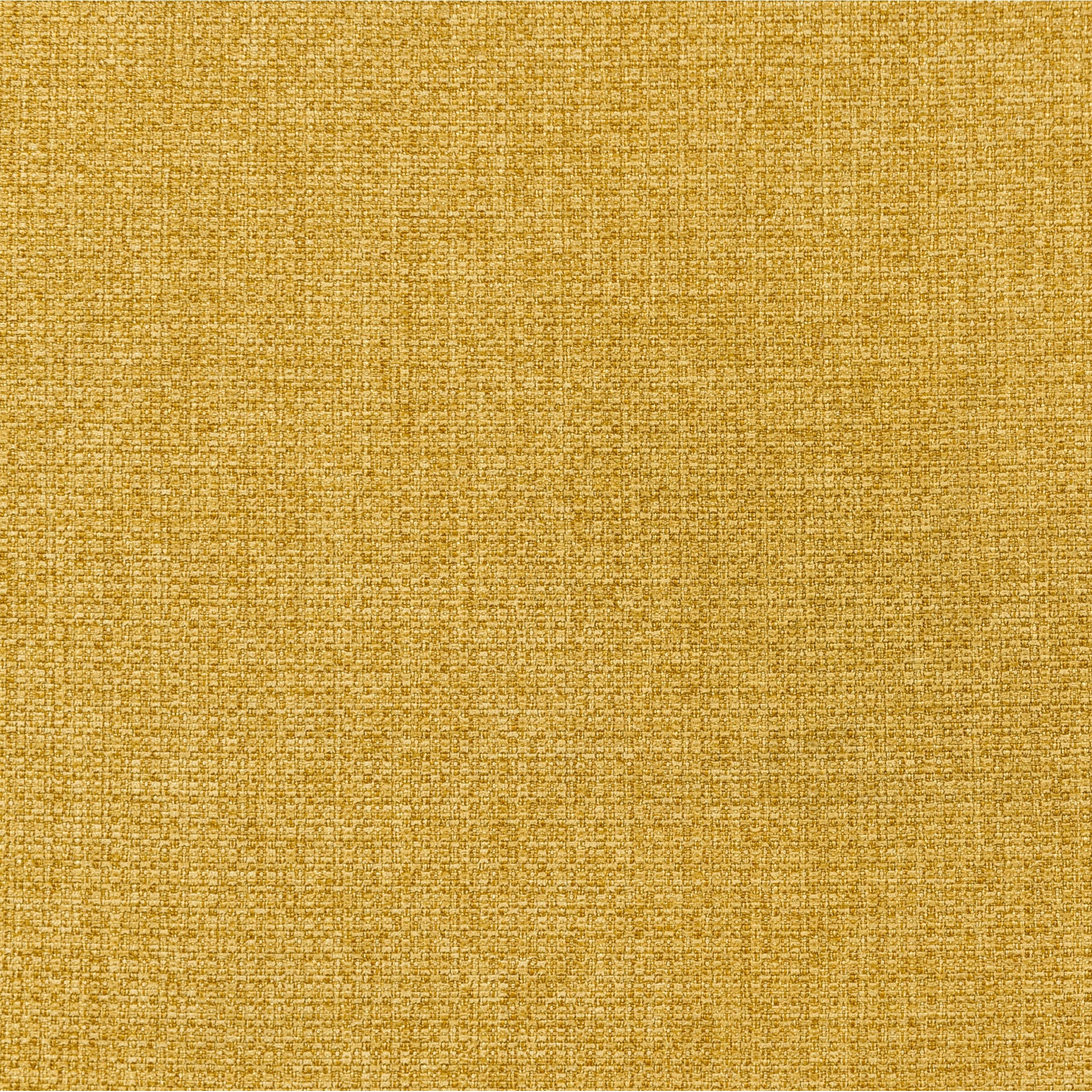 21367491