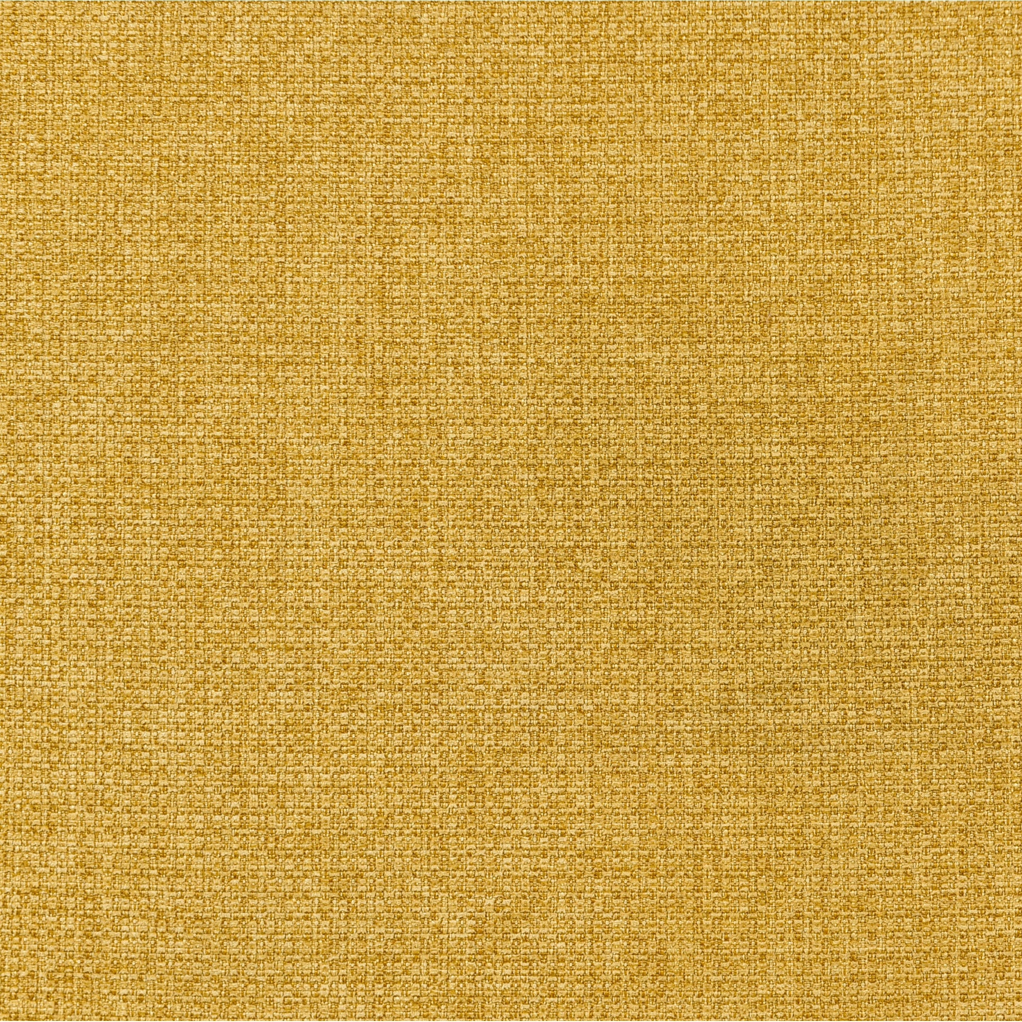 21367491