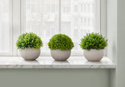 Artificial Plant, 5' Tall, Grass, Indoor, Faux, Fake, Table, Greenery, Potted, Set Of 3, Decorative, Green Plants, Grey Pots