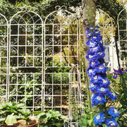 4 Pack Metal Garden Trellis 86.7' x 19.7' Rustproof Trellis for Climbing Plants Outdoor Flower Support Cream White