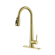 Single Handle Stainless Steel Kitchen Sink Faucet with Pull Down Sprayer