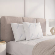 Isotemp Twin Pack Bed Pillows