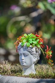 Greek Style Cement Head Planter - Indoor Outdoor Home Garden Decor, D6' x 9'