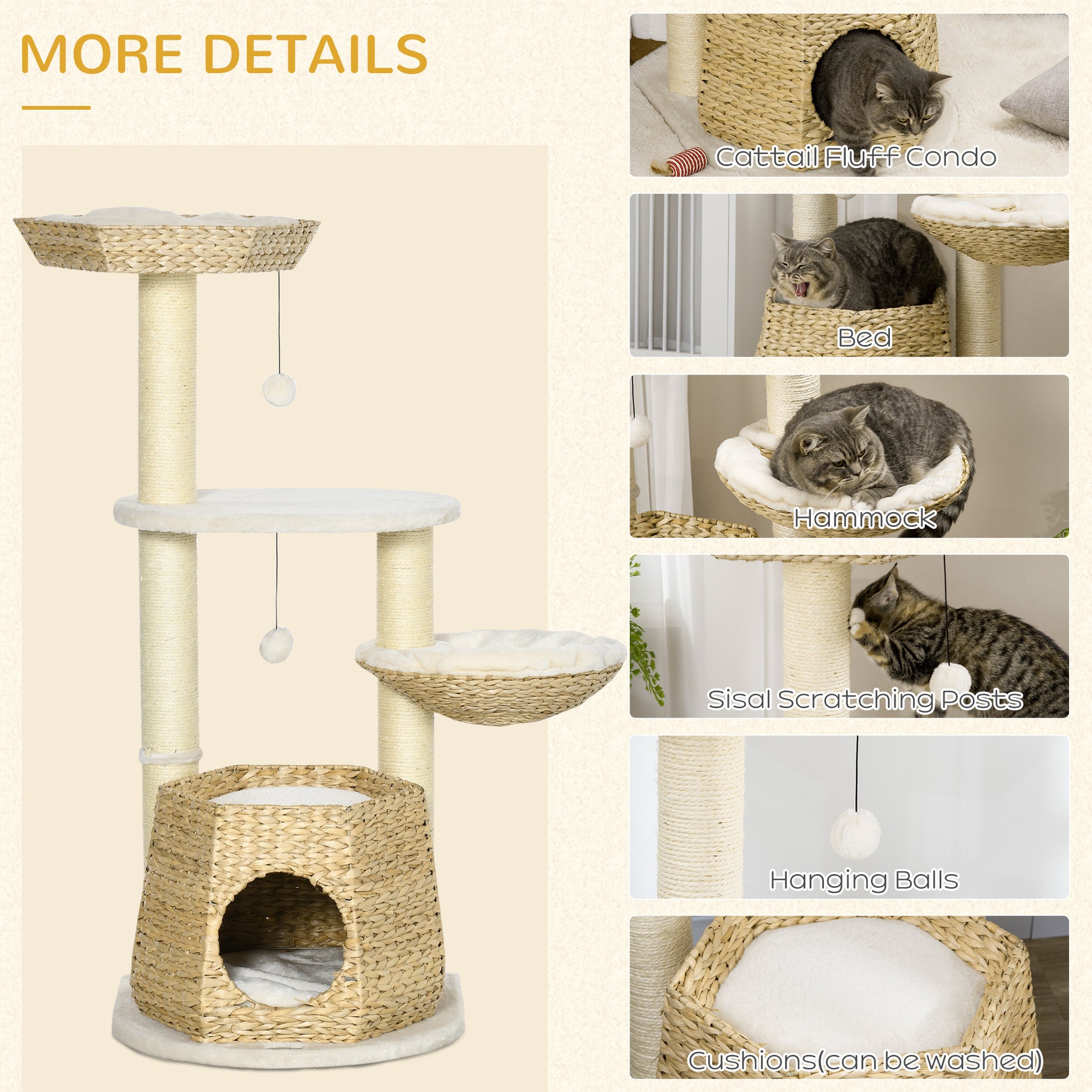 21680922