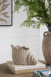 11.5x7x7' Sand and Cement Nautilus Shell Planter with Textured Beige Finish
