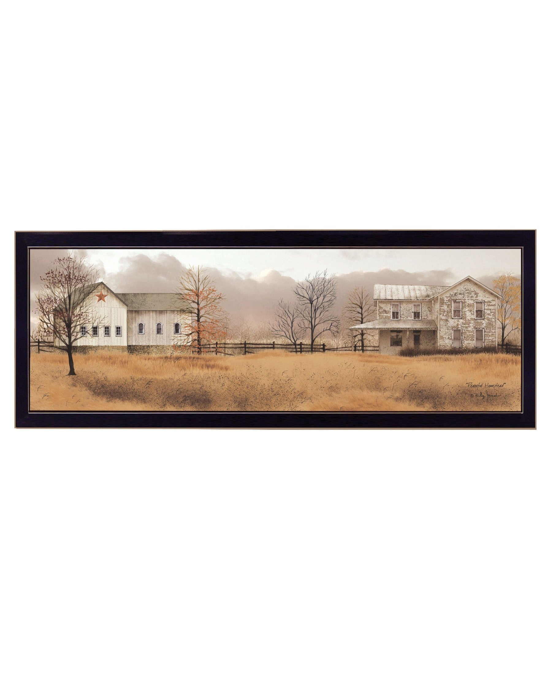 'Peaceful Homestead' by Billy Jacobs, Ready to Hang Framed Print, Black Frame