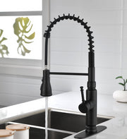 Touch Kitchen Faucet with Pull Down Sprayer