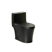 Matte Black One-Piece Toilet with Dual Flush and Soft Closing Seat, 17' ADA Height