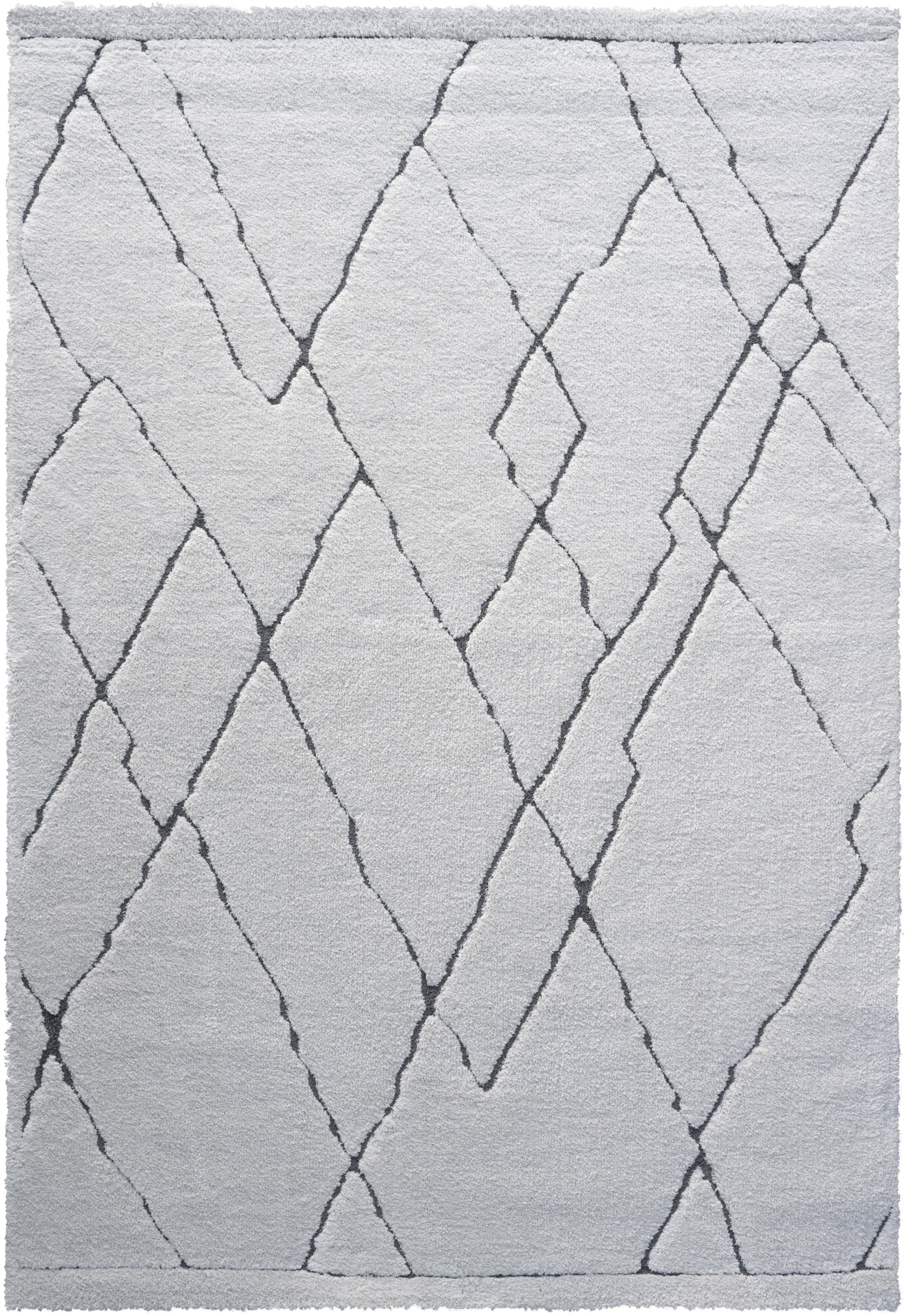 Nina Madison Ivory and Charcoal Recycled Polyester Area Rug