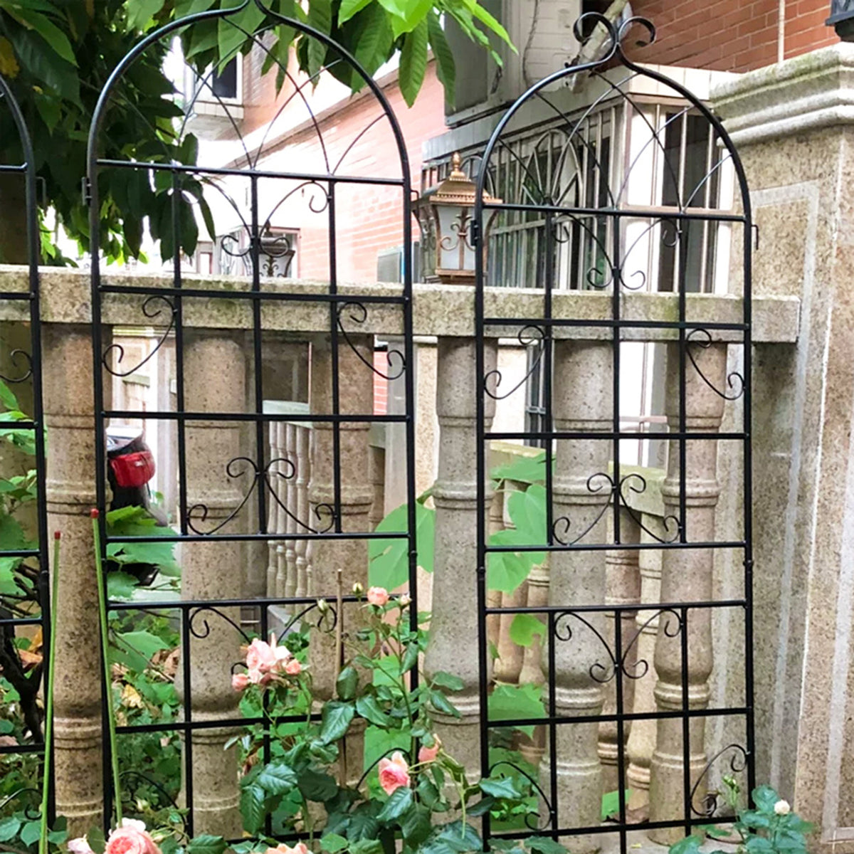 21444267