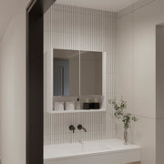Ozark 24' Medicine Cabinet With Mirror, One Shelf