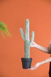 8x5x24.5'H Artificial Saguaro Cactus in Black Pot