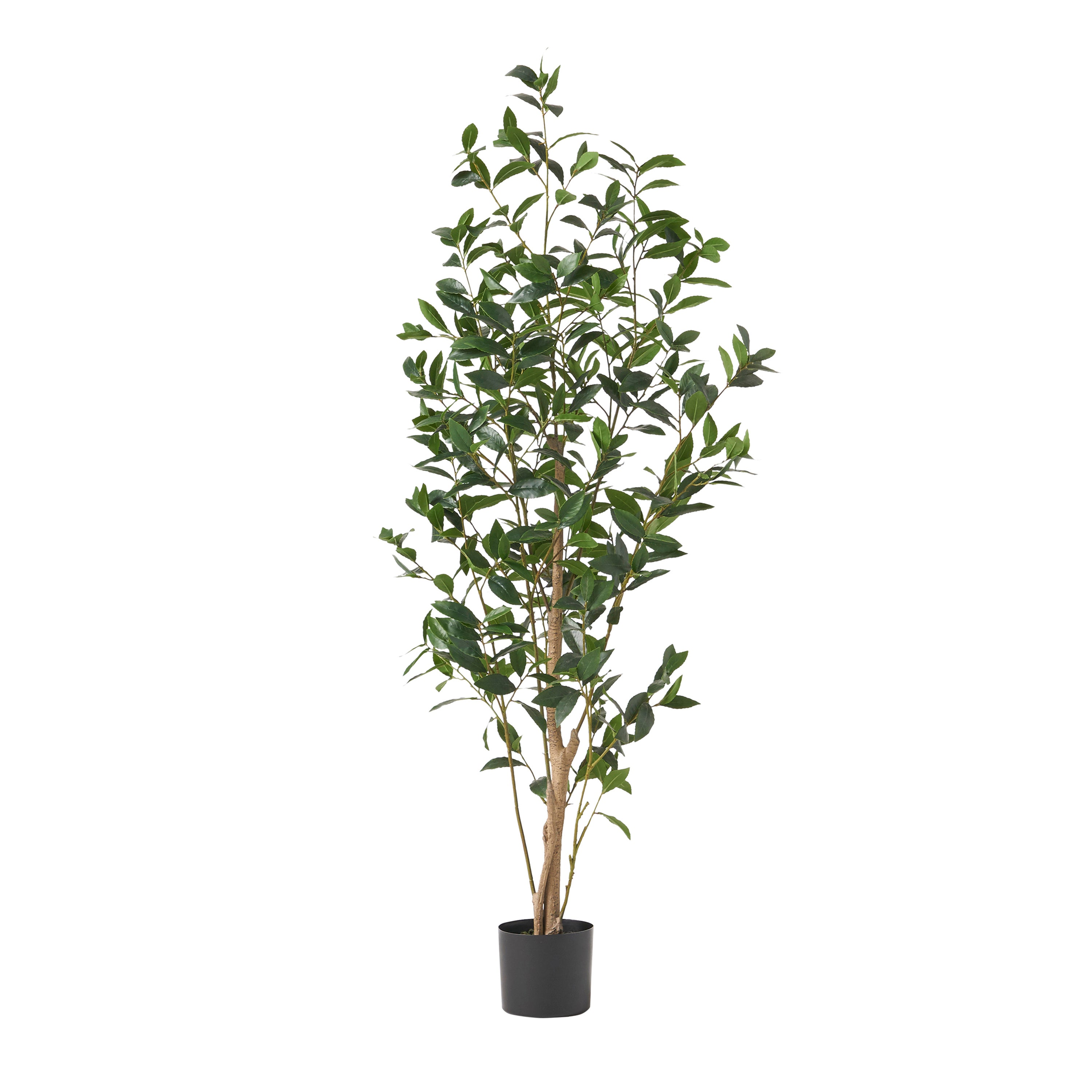 150CM ARTIFICIAL LAUREL TREE
