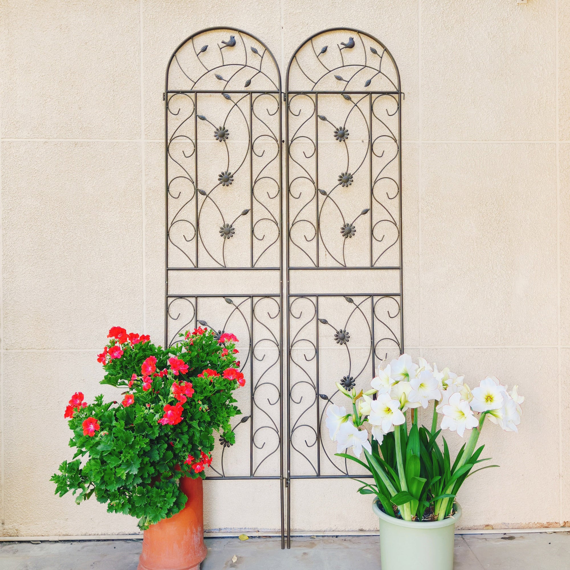 2 Pack Metal Garden Trellis 86.7' x 19.7' Rustproof Trellis for Climbing Plants Outdoor Flower Support Brown