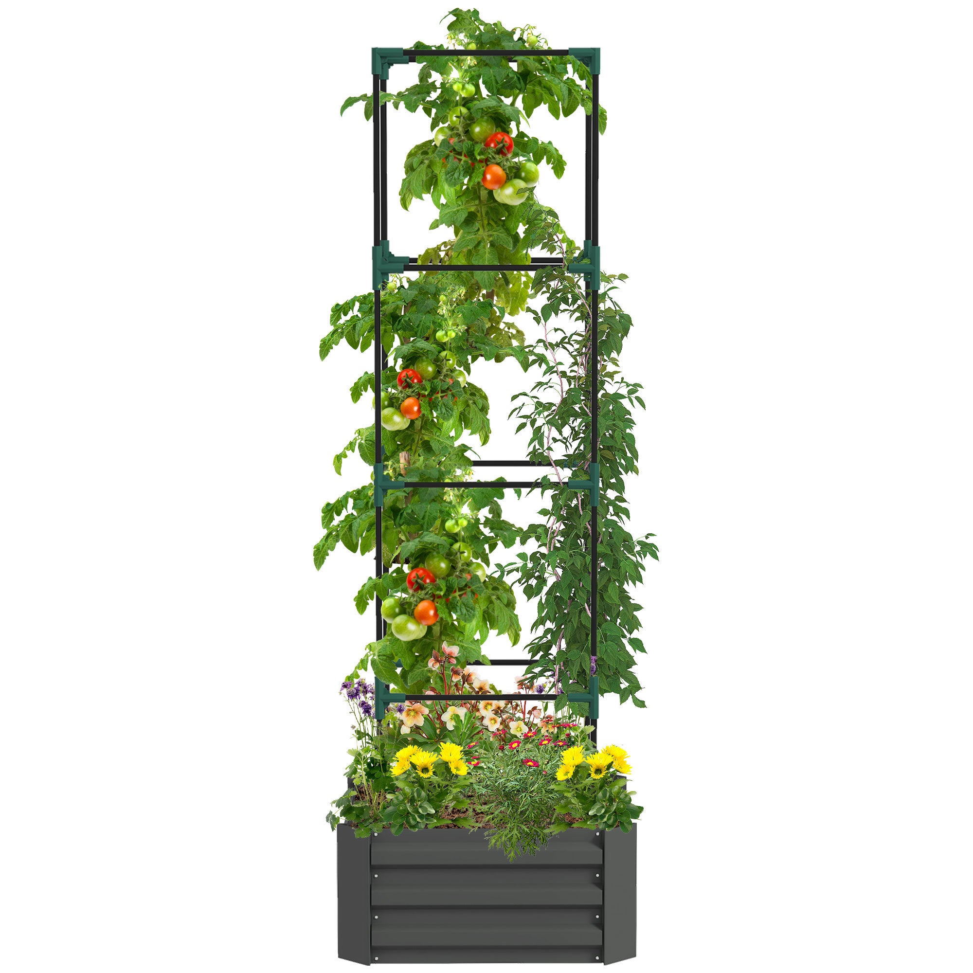 Outsunny Galvanized Raised Garden Bed, 24' x 24' x 11.75' Outdoor Planter Box with Trellis Tomato Cage and Open Bottom for Climbing Vines, Vegetables, Flowers in Backyard, Garden, Patio, Gray