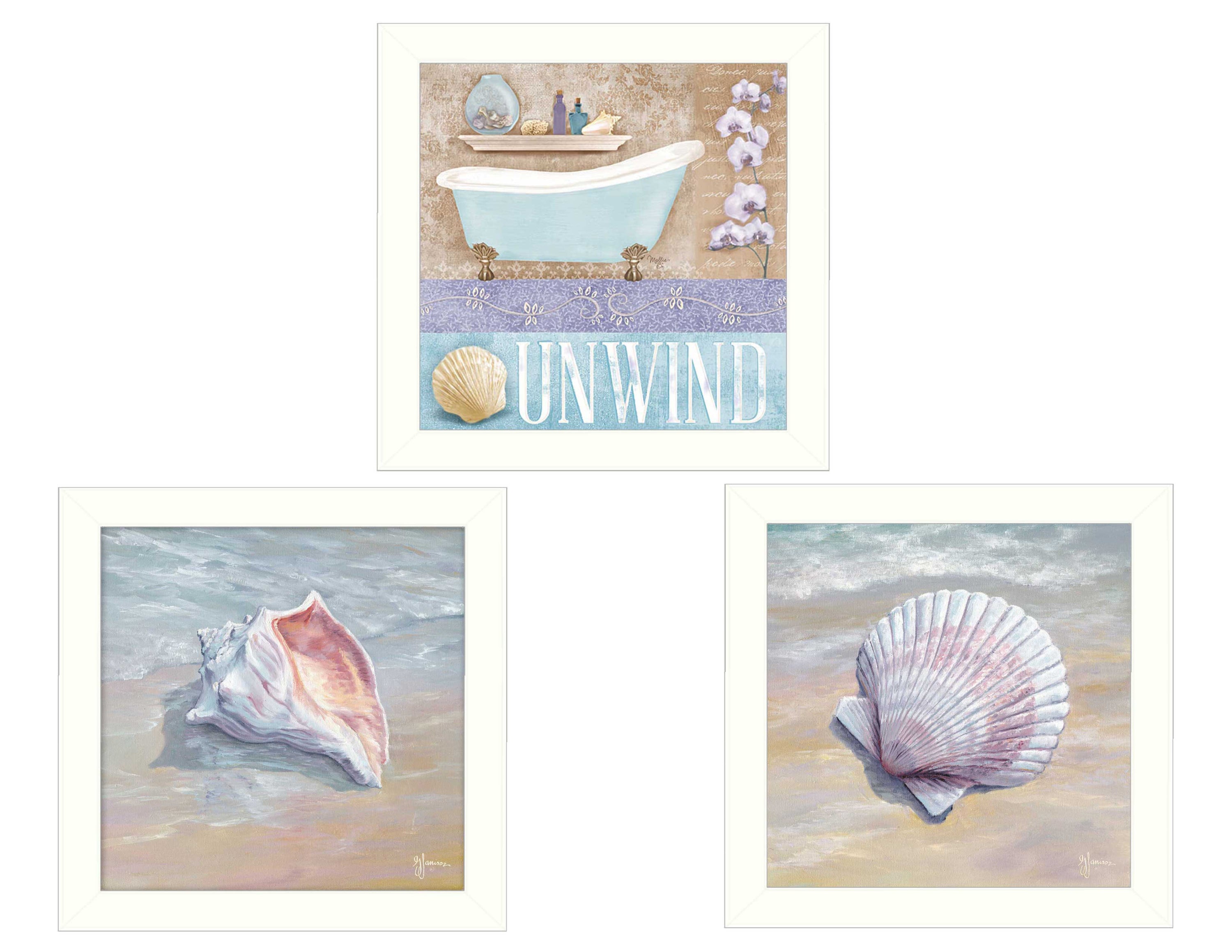 'Shells II Collection' 3-Piece Vignette By Mollie B. and G. Janisse, Printed Wall Art, Ready To Hang Framed Poster, White Frame