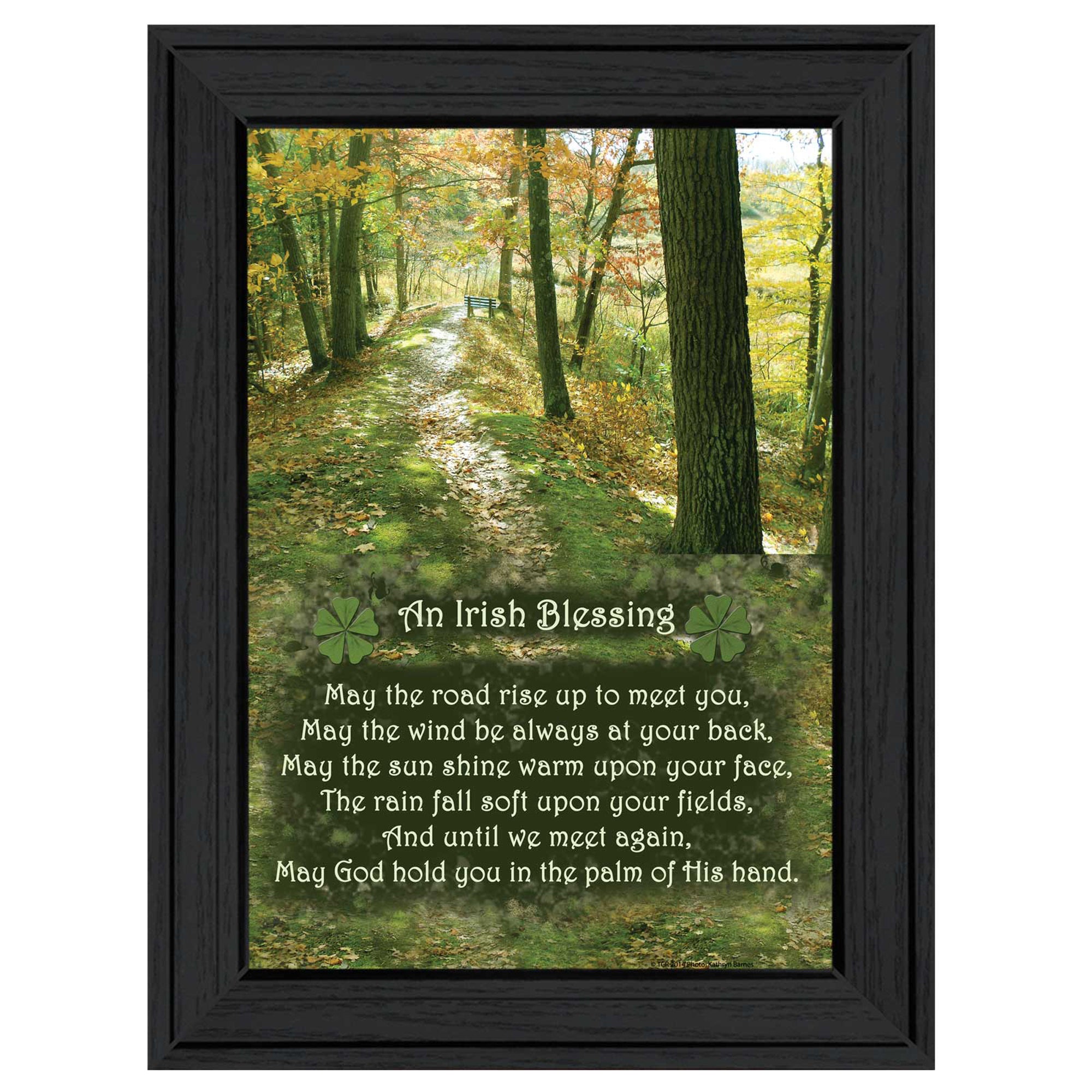 'Irish Blessing' By Trendy Decor4U, Printed Wall Art, Ready To Hang Framed Poster, Black Frame