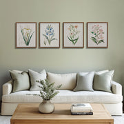 Herbal Botany 4-piece Botanical Illustration Framed Canvas Wall Art Set