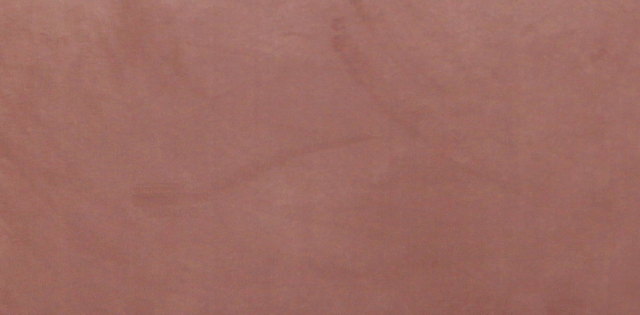 21081165