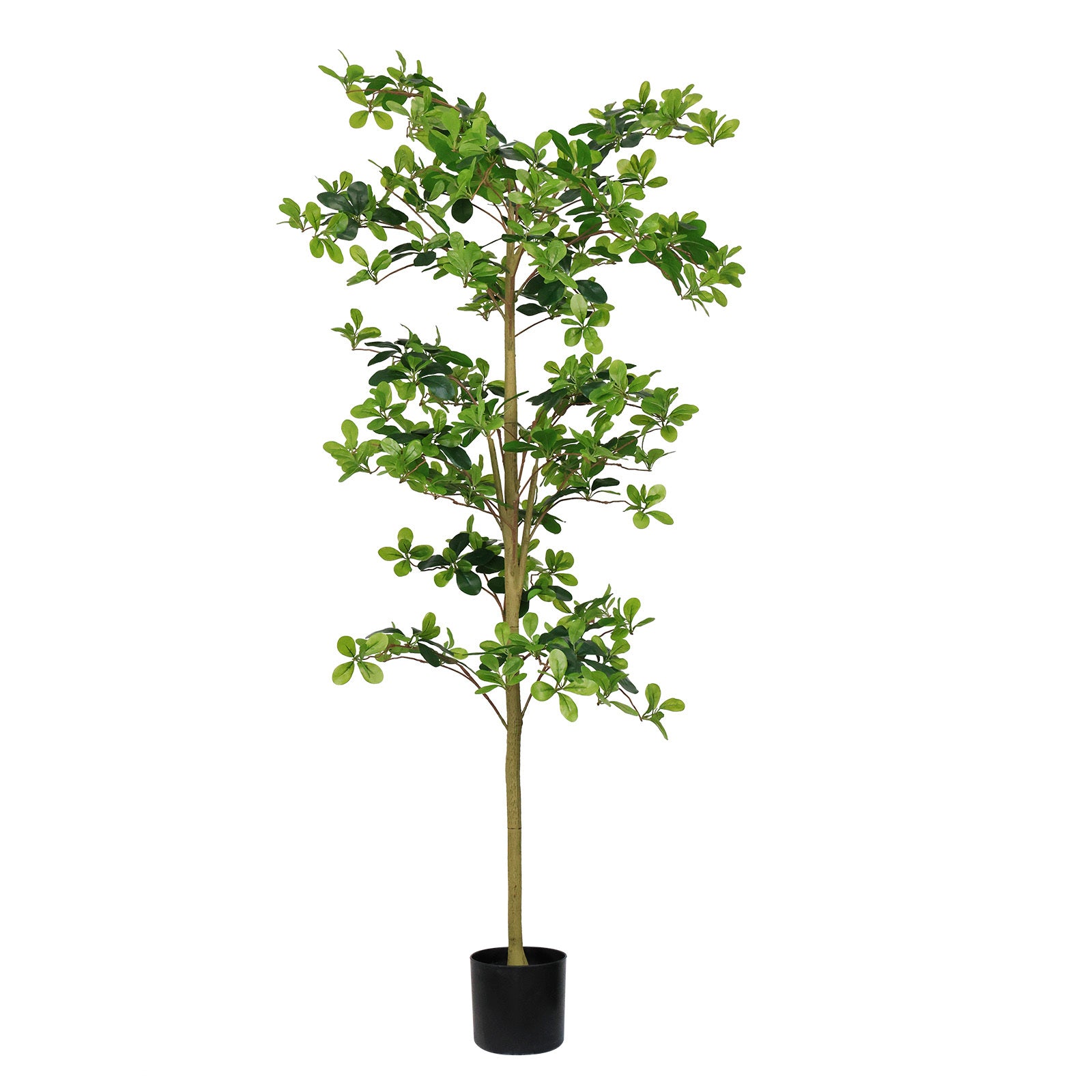 6FT Tall Artificial Tree, Fake Polyscias Fruticosa Plant for Indoor Decor, Potted Faux Silk Greenery for Living Room, Office, Home Decoration 1pc/set