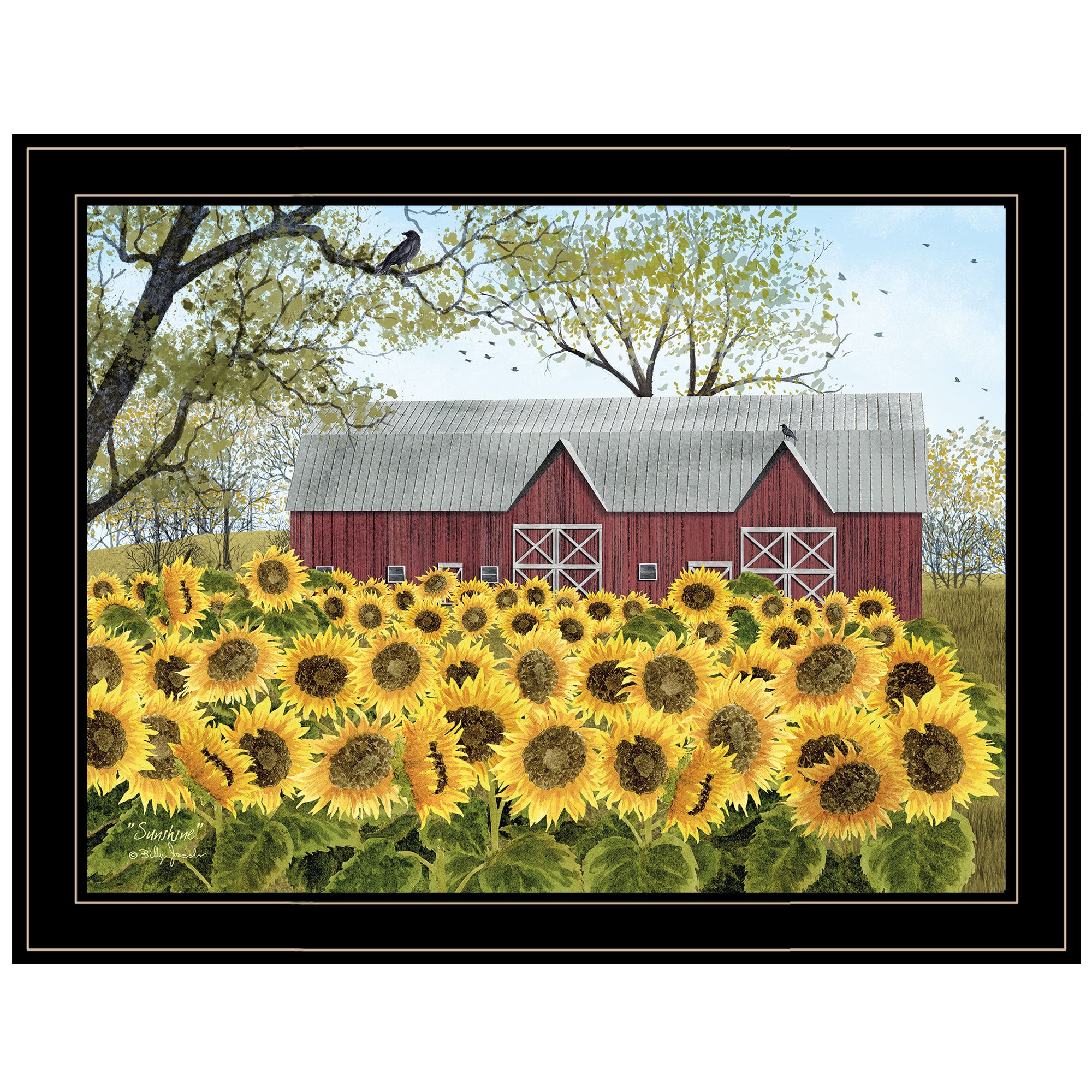 'Sunshine' by Billy Jacobs, Ready to Hang Framed Print, Black Frame