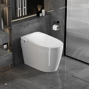 Smart Toilets with Heated Bidet Seat.Portable toilet with bidet built.Intelligent Toilet Auto Open/Close Seat. Bidet toilet with Dryer and Warm Water