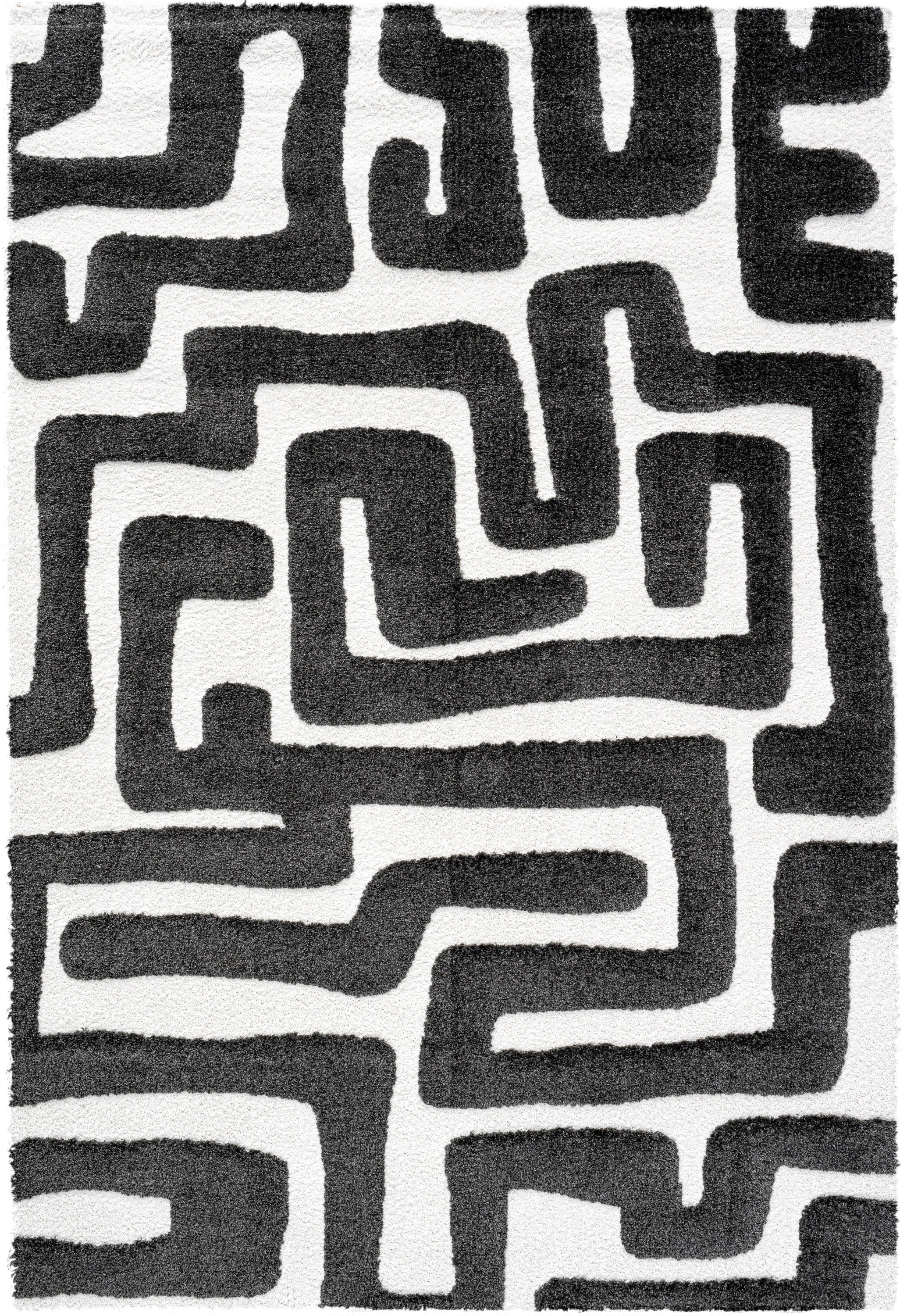 Lillian Black and Ivory Recycled Polyester Area Rug