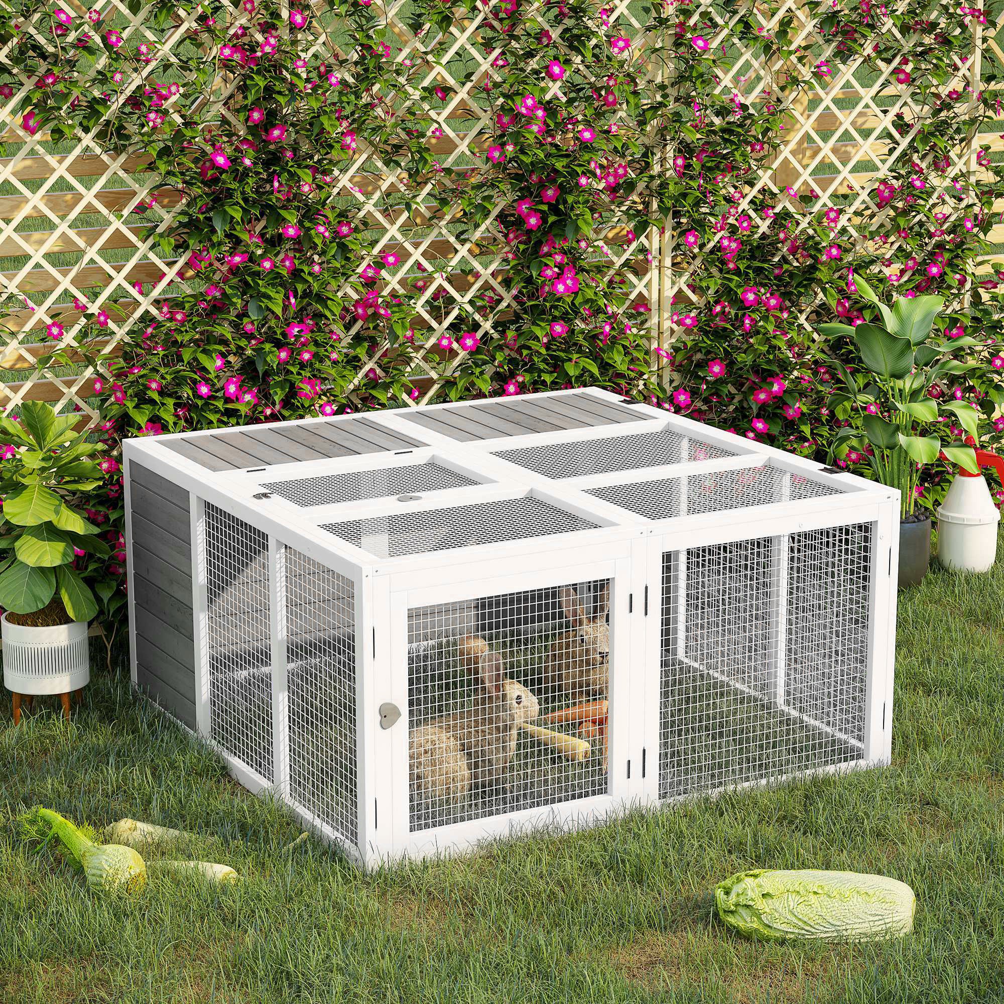 21664255
