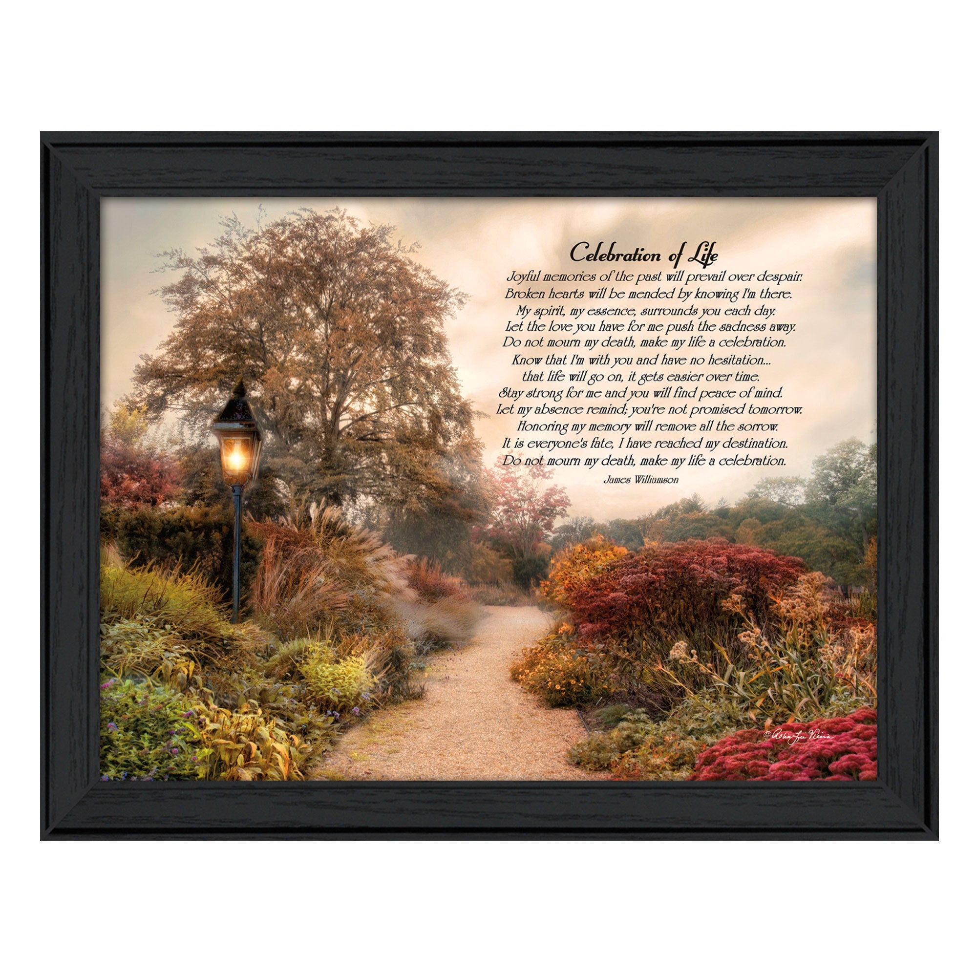 'Celebration of Life' By Robin-Lee Vieira, Printed Wall Art, Ready To Hang Framed Poster, Black Frame