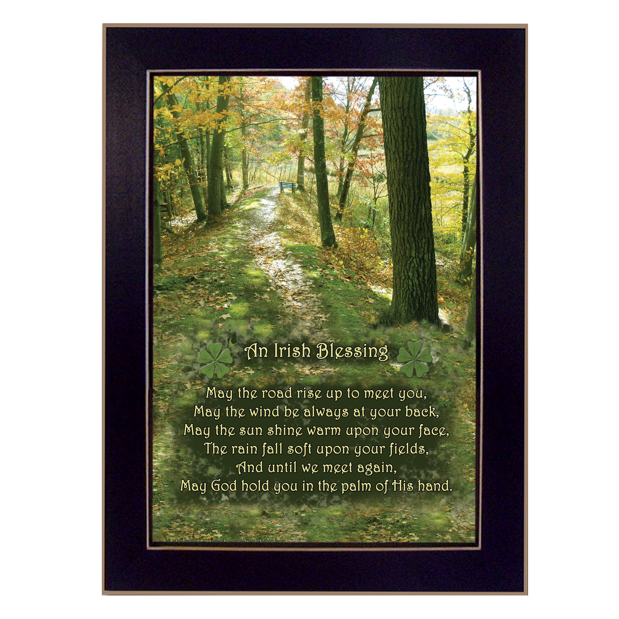 'Irish Blessing' By Trendy Decor4U, Printed Wall Art, Ready To Hang Framed Poster, Black Frame