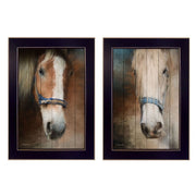 'Two Horses Collection' 2-Piece Vignette By Robin-Lee Vieira, Printed Wall Art, Ready To Hang Framed Poster, Black Frame