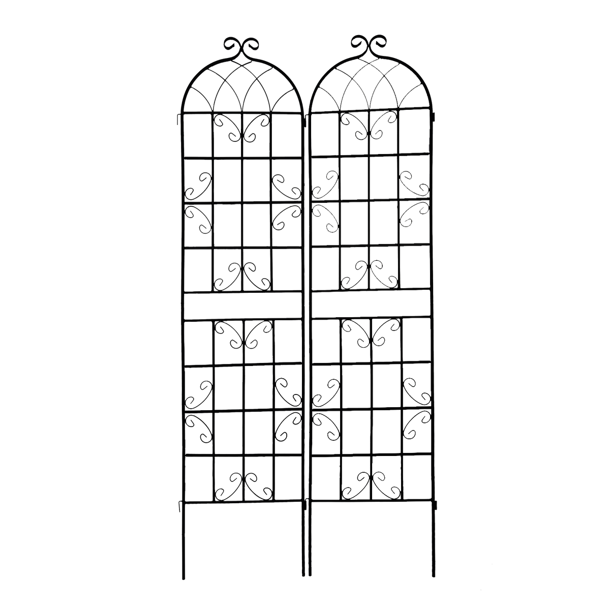 21444126