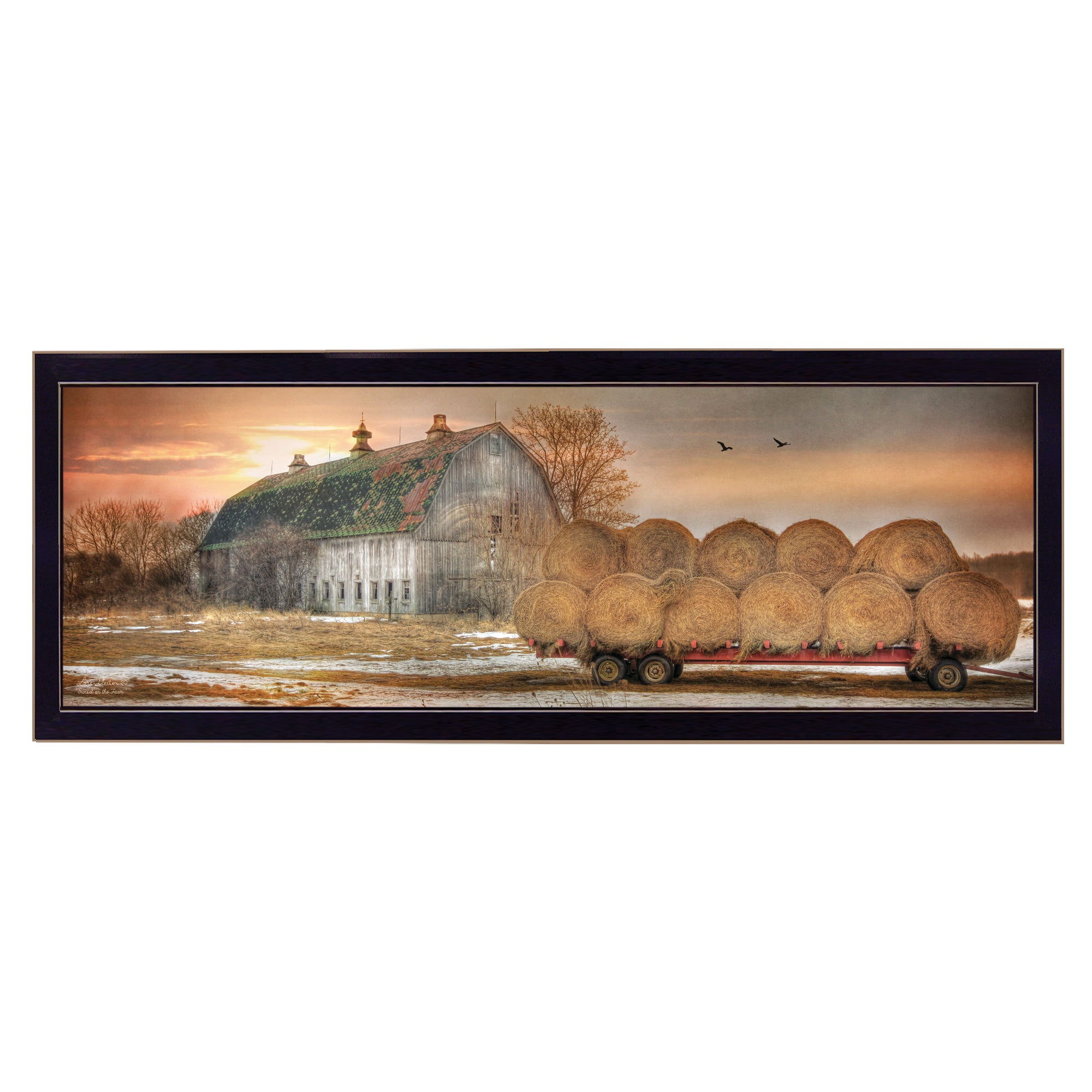 'Sunset on the Farm' by Lori Deiter, Ready to Hang Framed Print, Black Frame