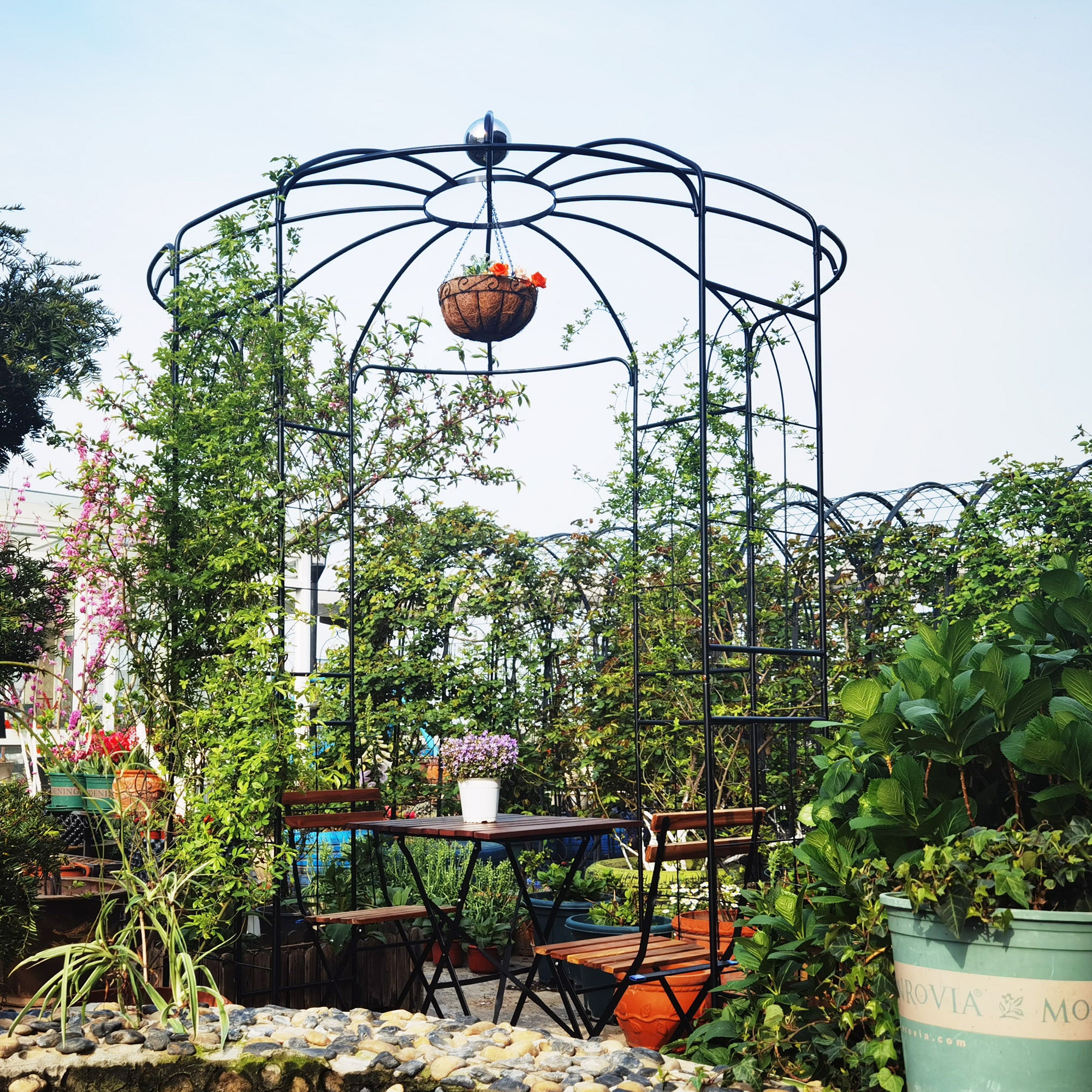 Garden Arch & Trellis