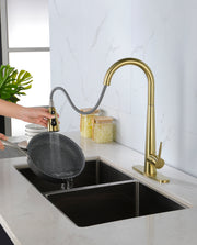 Kitchen Faucet with Pull Down Sprayer , High Arc Single Handle Kitchen Sink Faucet with Deck Plate, Commercial Modern Stainless Steel Kitchen Faucets