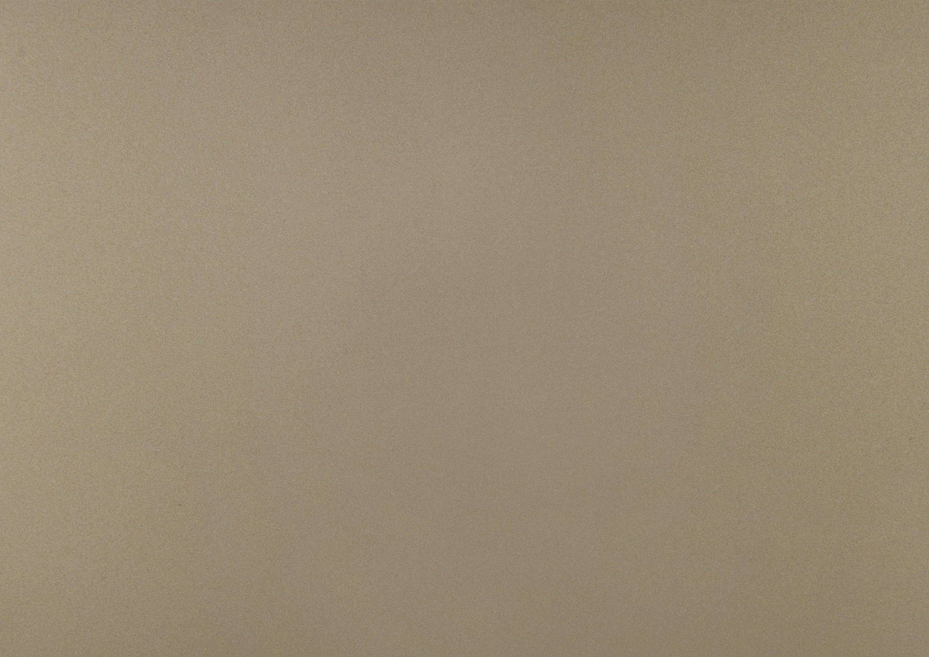 21336004