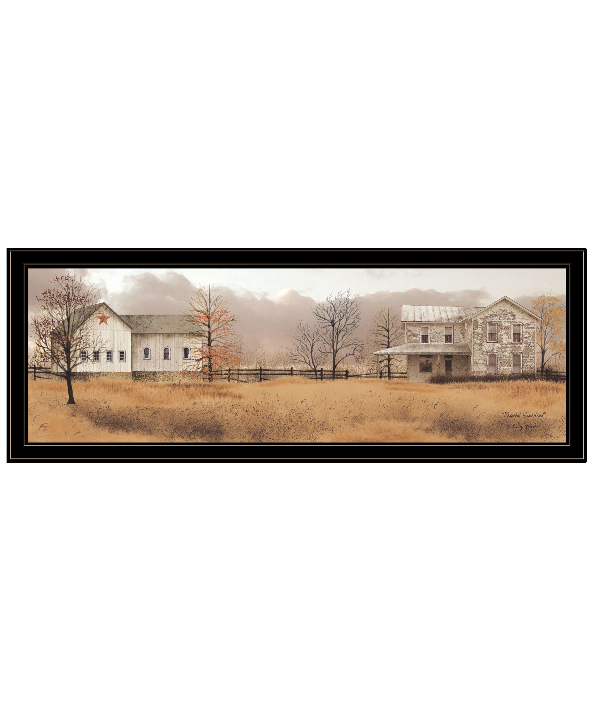 'Peaceful Homestead' by Billy Jacobs, Ready to Hang Framed Print, Black Frame