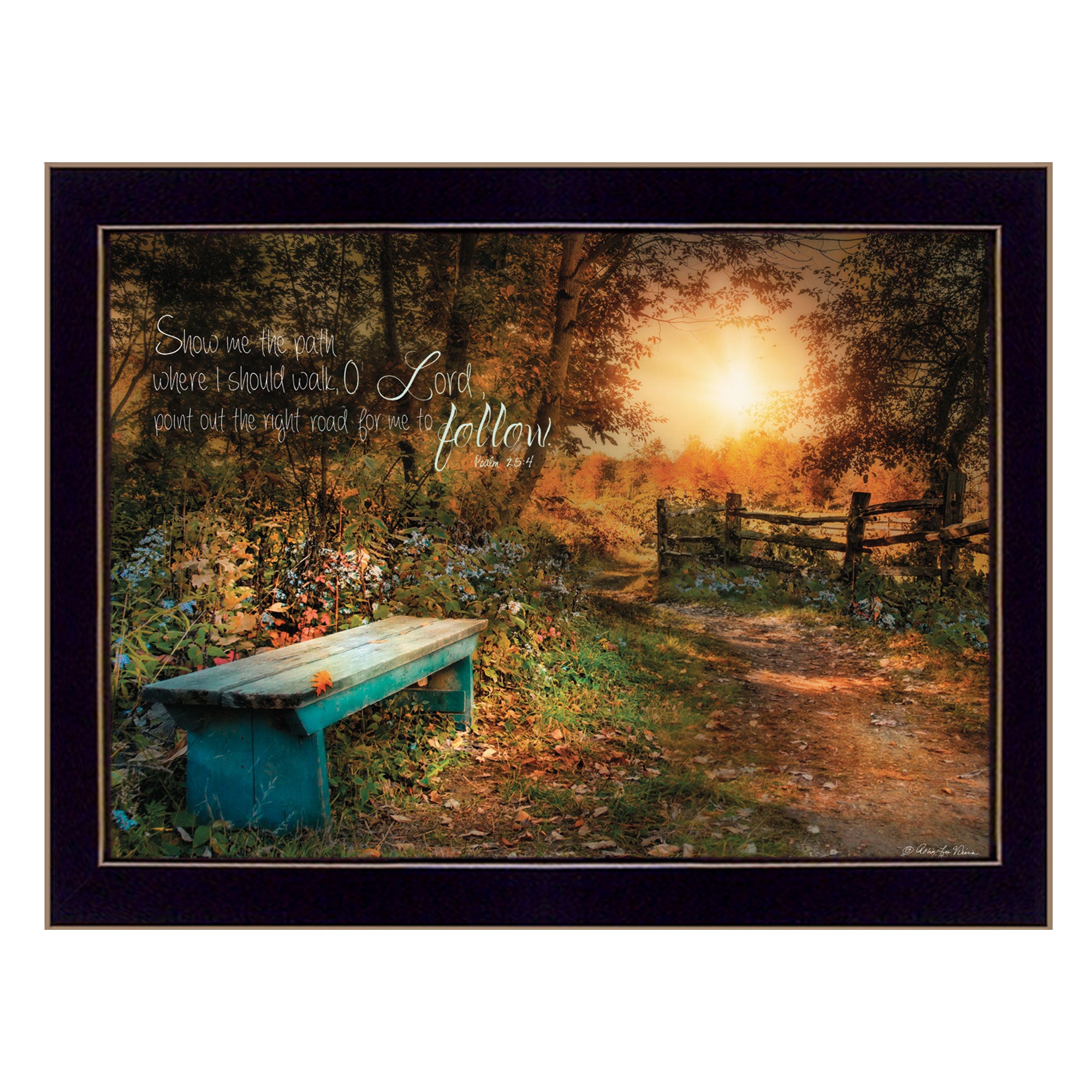 'Show Me the Path' by Robin-Lee Vieira, Ready to Hang Framed Print, Black Frame