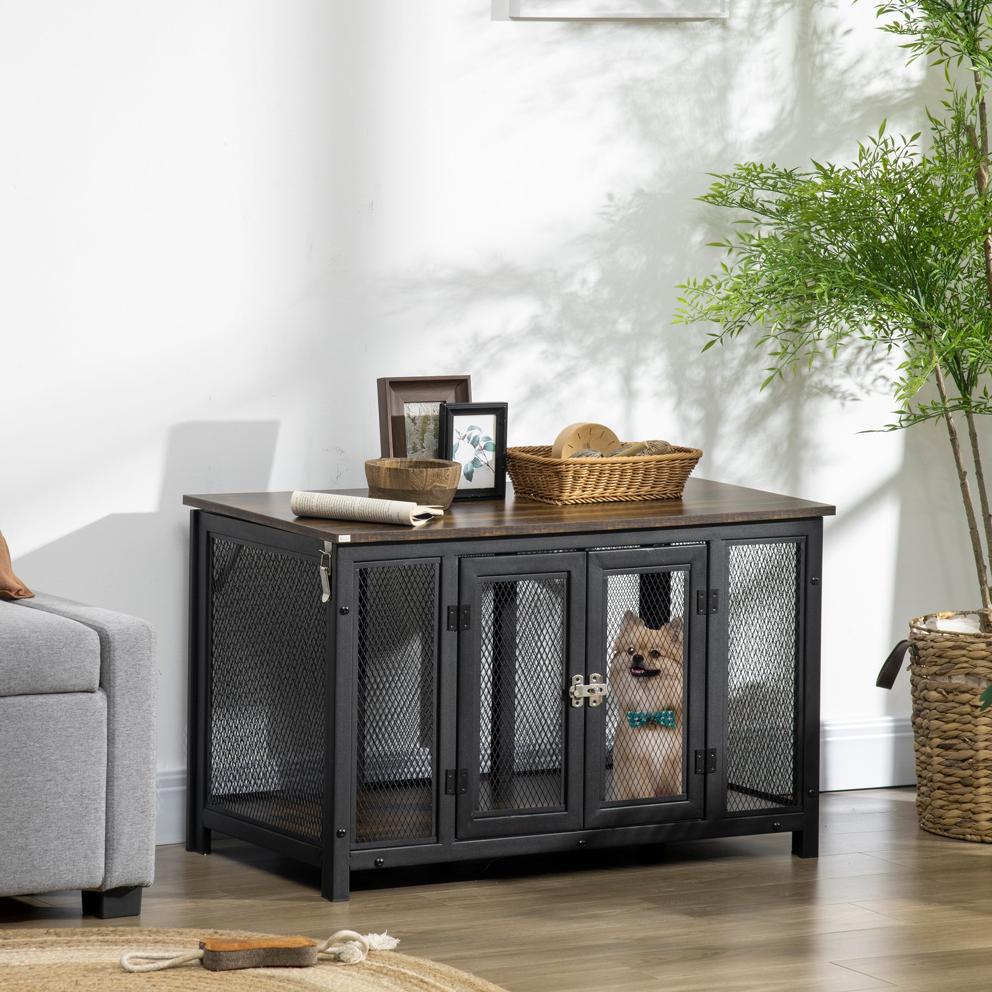21663778