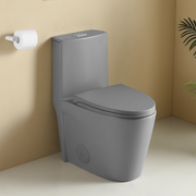 1.1/1.60 GPF Dual-Flush One Piece Toilet, Water-Saving Elongated Comfort Height Floor Mounted, Soft Close 1000 Gram Map Flushing Score Toilet, Light Grey 24T01-LG