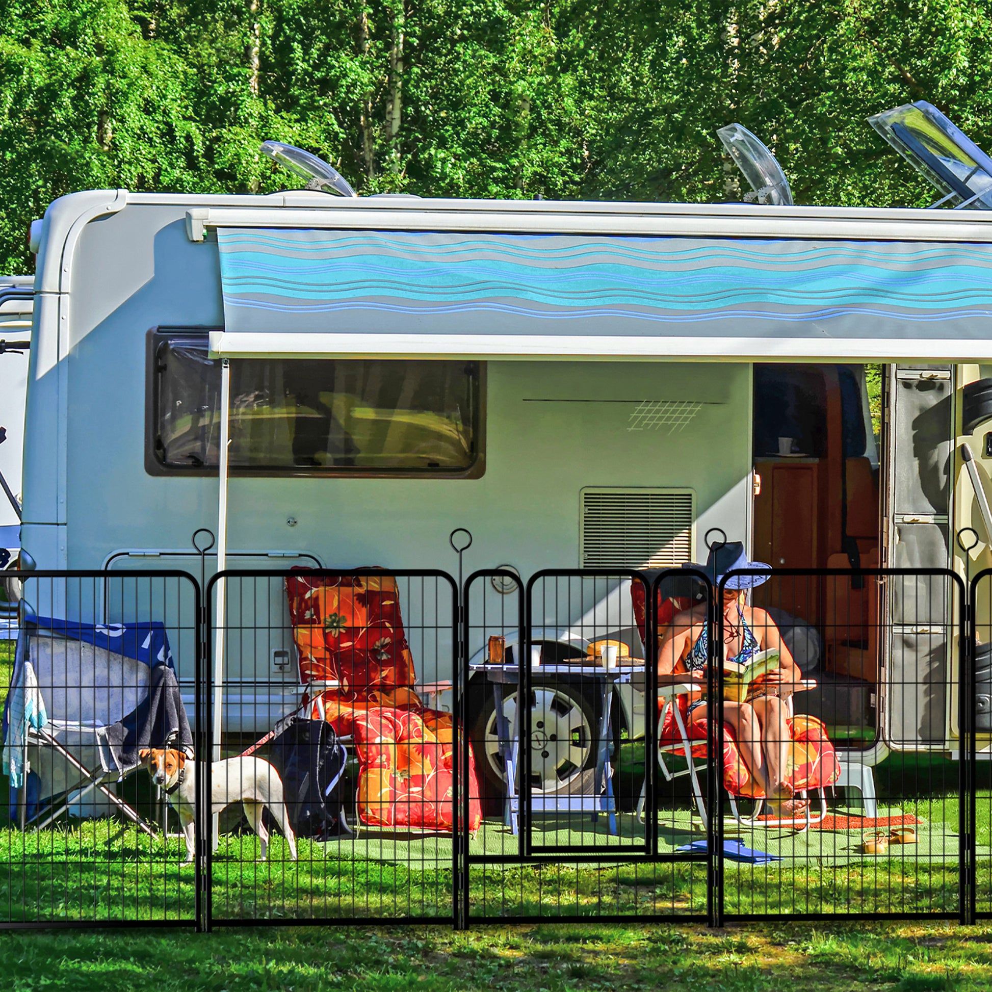 21668657