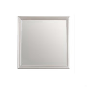 Lorana G6500-M Mirror, Traditional Design, Silver Champagne, Particle Board, 38 Inch