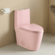 1.1/1.60 GPF Dual-Flush One Piece Toilet, Water-Saving Elongated Comfort Height Floor Mounted, Soft Close 1000 Gram Map Flushing Score Toilet, Rose GF-24T01-RS