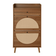Allen Rattan 2-Door 1-Drawer Cabinet Shoe Rack for Entrance, Walnut Particle Board, Double Layer