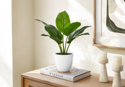 Artificial Plant, 17' Tall, Aureum, Indoor, Faux, Fake, Table, Greenery, Potted, Real Touch, Decorative, Green Leaves, White Pot