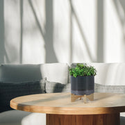 8' DOTTED PLANTER W/ WOOD STAND, GREEN