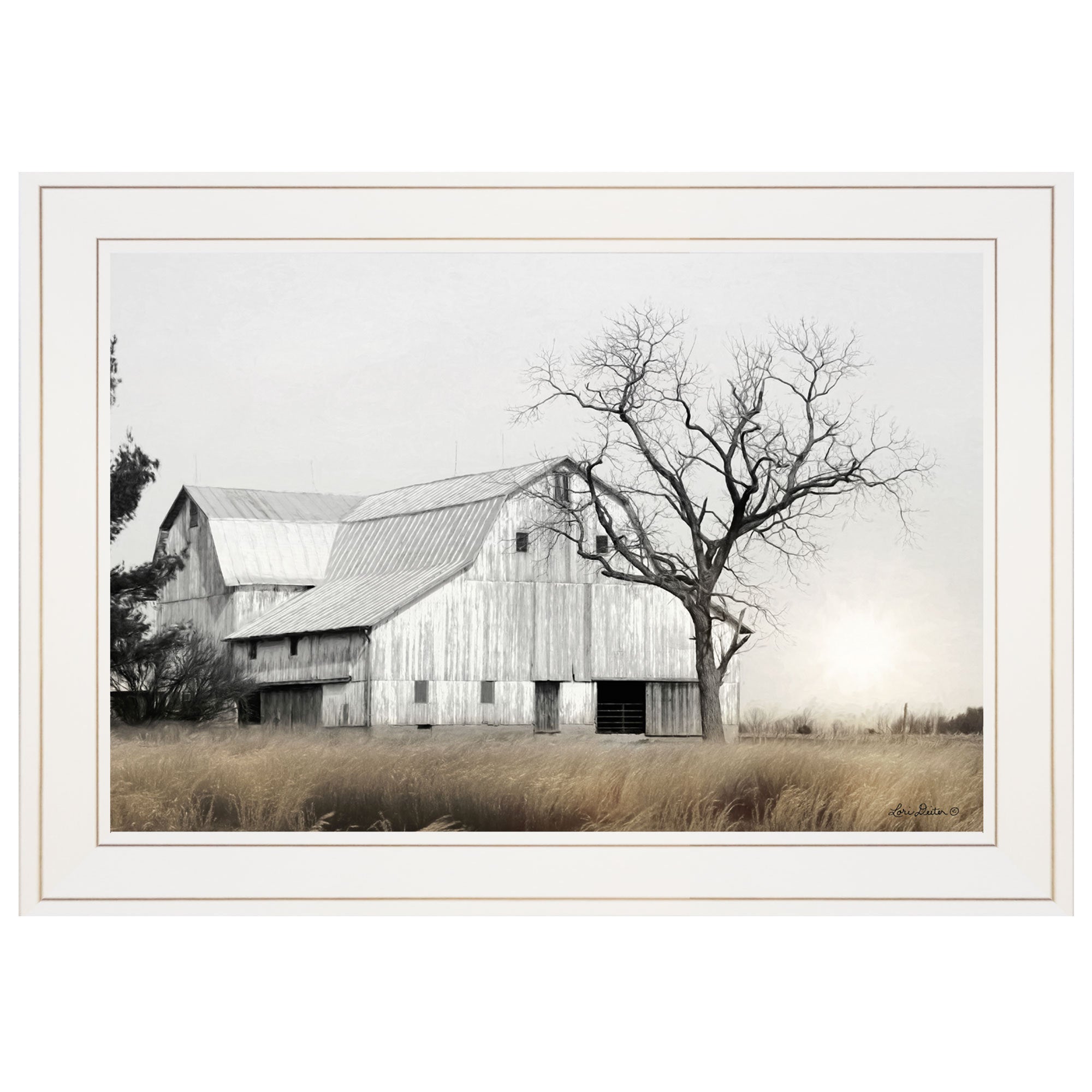'Ohio Fields I' by Lori Deiter, Ready to Hang Framed Print, White Frame