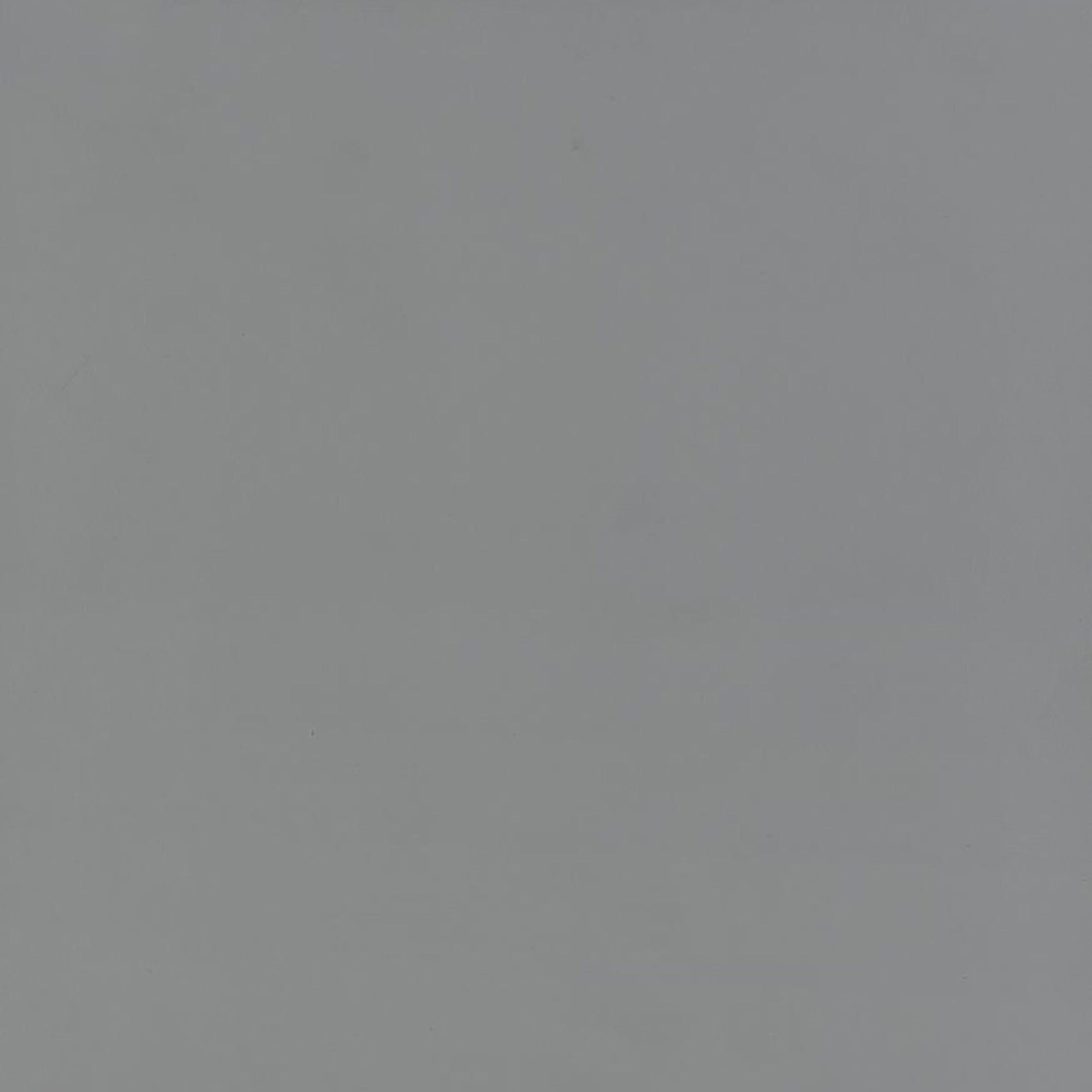 21364565