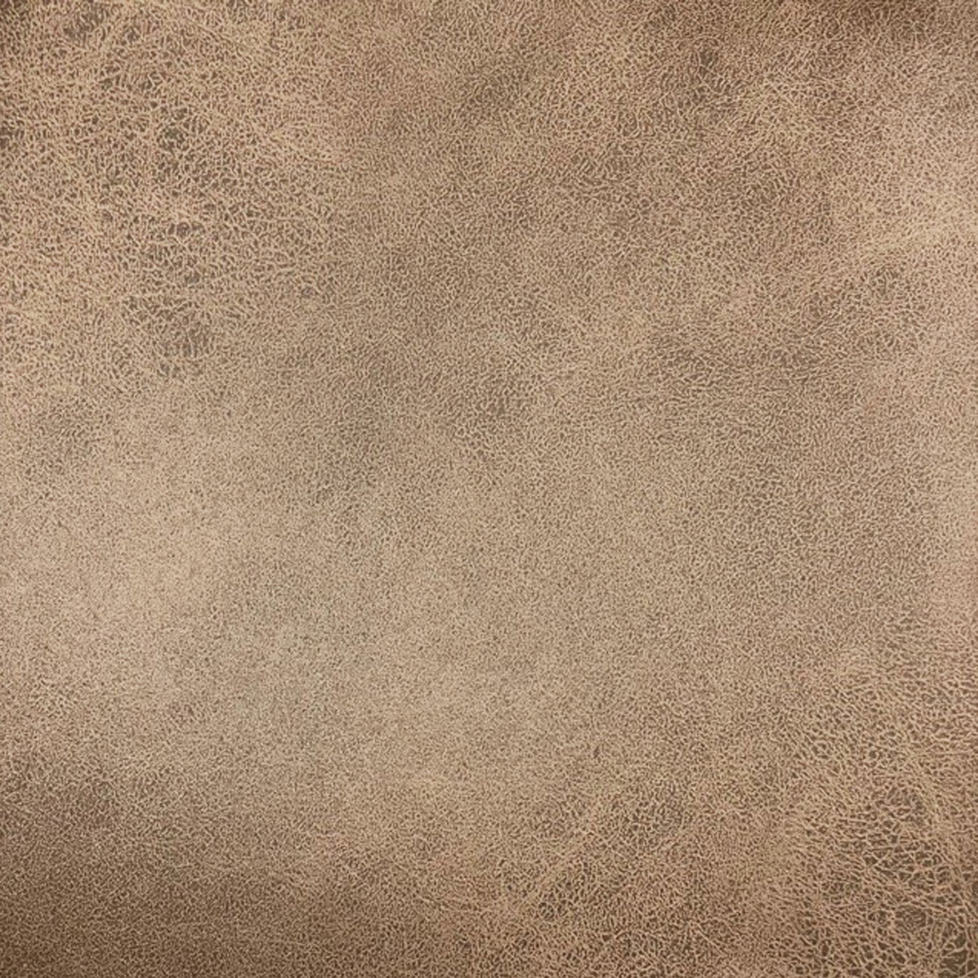 21365665