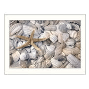 'Starfish and Seashell' By Lori Deiter, Printed Wall Art, Ready To Hang Framed Poster, White Frame